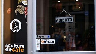 El valor de los bitcóin de El Salvador cae a la mitad El valor de los bitcóin de El Salvador cae a la mitad