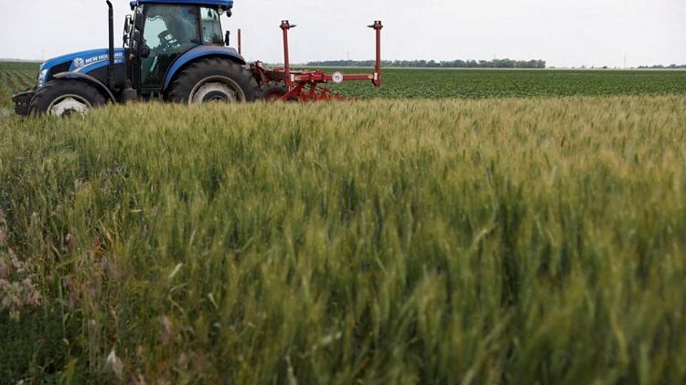 Turquía, Rusia, Ucrania y la ONU se reúnen para hablar de las exportaciones de grano