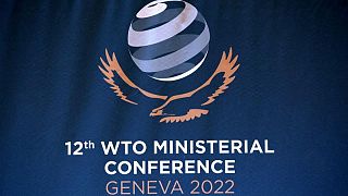 La OMC tiene esperanzas en un gran acuerdo sobre la pesca, pese a las presiones