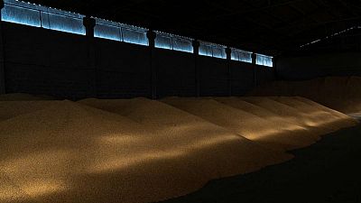 Sindicato ucraniano de operadores cereales eleva previsión de cosecha de granos y oleaginosas en 2022