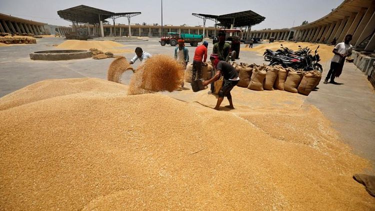الإمارات توقف تصدير وإعادة تصدير القمح الهندي المنشأ لمدة أربعة أشهر
