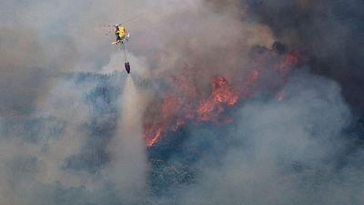 حرائق غابات تدمر 2700 فدان في إقليم قطالونيا الإسباني