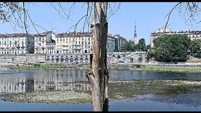 Inviata la richiesta a Roma