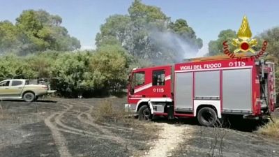Numerosi i roghi scoppiati oggi in Sardegna Numerosi i roghi scoppiati oggi in Sardegna