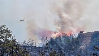 حرائق الغابات في جنوب غرب تركيا.