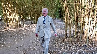 UK's Boris Johnson to meet Prince Charles in Rwanda amid asylum seekers' deportation row