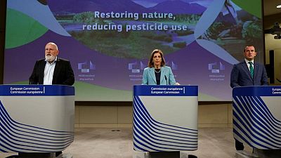 EU seeks to halve use of pesticides, heal nature with landmark laws