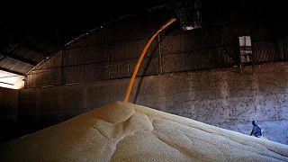 Futuros de maíz y soja suben por preocupación de la cosecha en EEUU