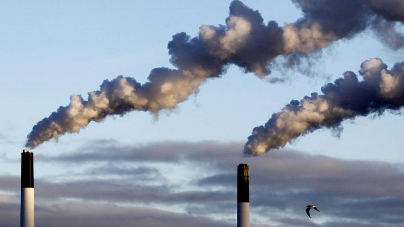 Denmark agrees corporate carbon tax - government
