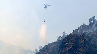الحكومة التركية تعلن السيطرة على حريق غابات دمر أكثر من 11 ألف فدان