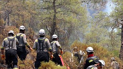 Turkey wildfire under control after 4,500 hectares scorched -government