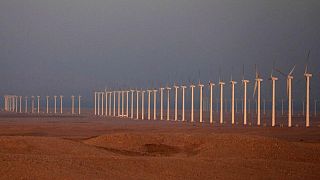 تقرير: مشروعات الطاقة المتجددة الحالية ستحقق للدول العربية 92% من أهداف 2030