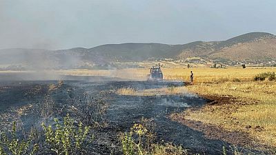 Heat wave and fires damaging Tunisia's grain harvest