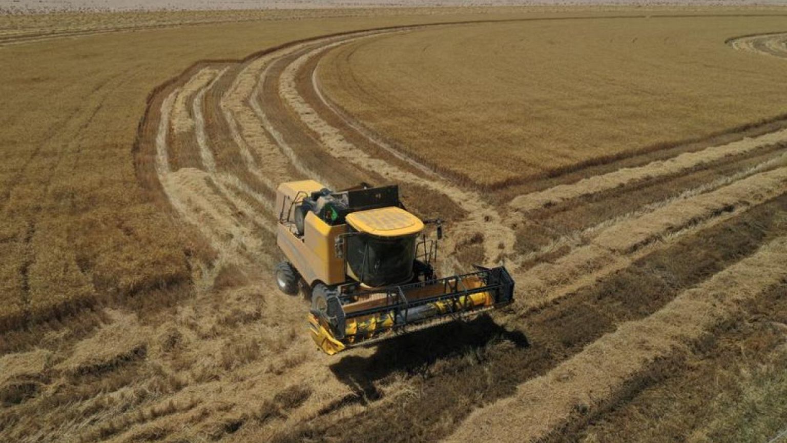 IRAQ-WHEAT-PURCHASE-NI6:مسؤول عراقي: نتوقع شراء كميات جيدة من القمح المحلي إذا استمر هطول المطر