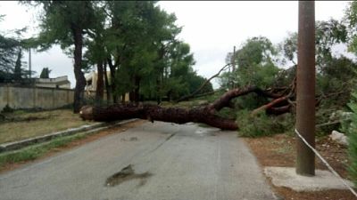 Tanti interventi per Vvf, al momento 58 richieste