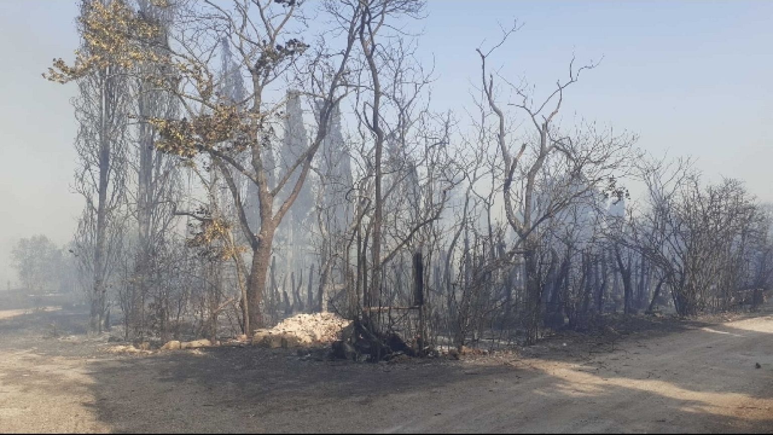 (V. 'Incendio a Lecce, evacuate 20 persone...' delle 17.29)