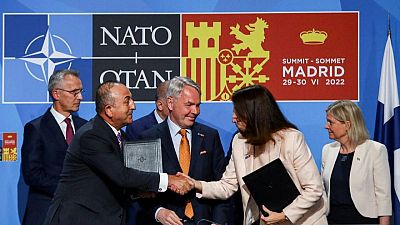 NATO deal with Turkey greeted with caution and concern in Sweden