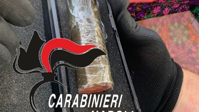 C'era anche un agnello al pascolo: intervengono gli artificieri C'era anche un agnello al pascolo: intervengono gli artificieri