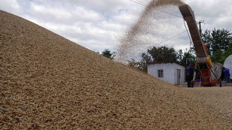 Ucrania dice conversaciones sobre granos deben resolverse bajo auspicio de la ONU