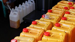 Indonesia quiere aumentar la cuota de exportación de aceite de palma Indonesia quiere aumentar la cuota de exportación de aceite de palma