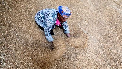 وزير التموين: مصر اشترت حوالي 4 ملايين طن من القمح المحلي