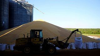 Exportaciones de maíz de Brasil se disparan 221%, impulsadas por ausencia de Ucrania