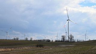 Polonia planea suavizar sus normas para el desarrollo de la energía eólica terrestre