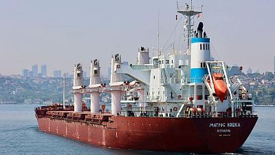 Ucrania pide a Turquía investigar otros tres barcos rusos que según Kiev tendrían grano robado