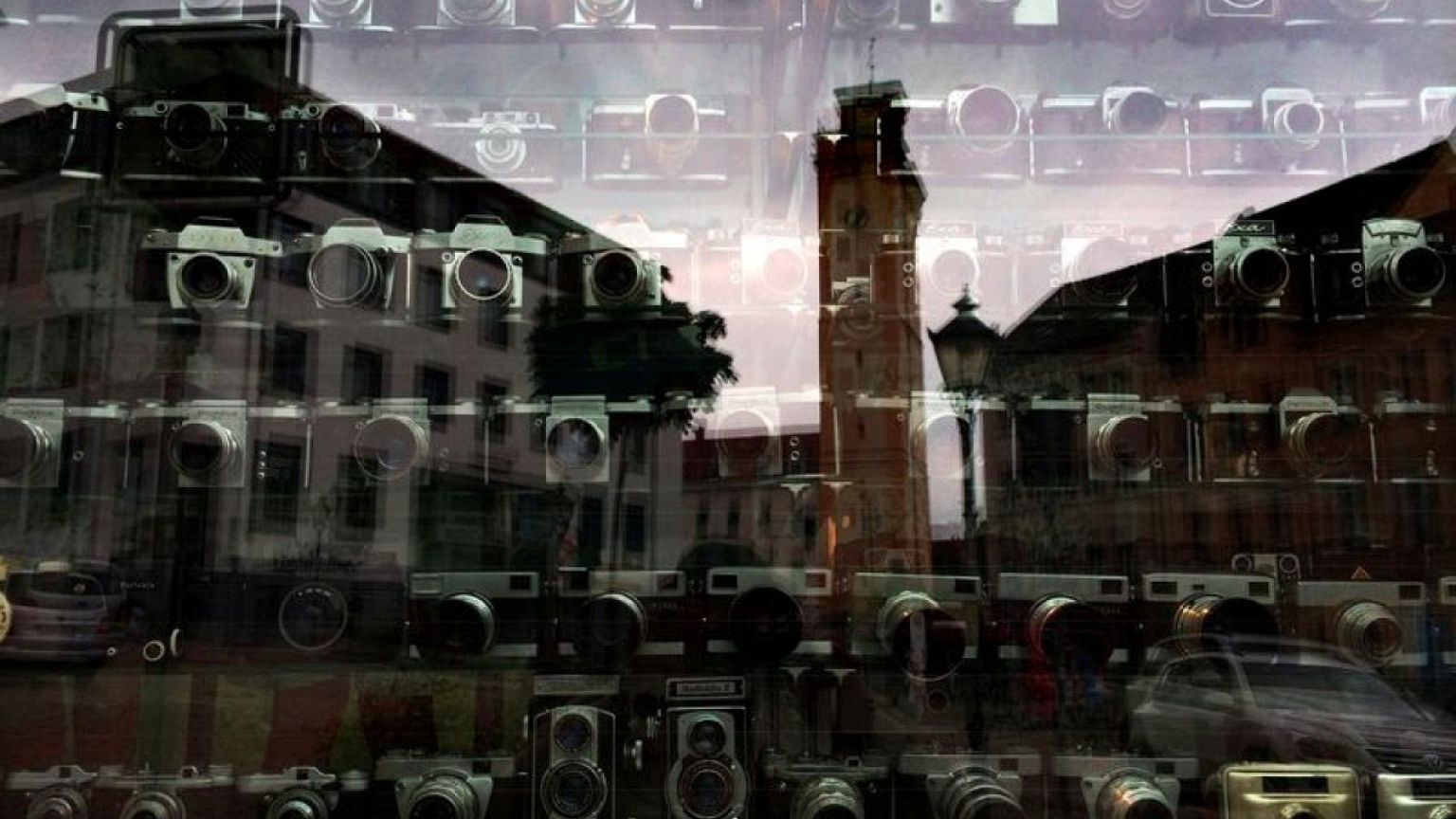 Euro zone May retail sales rise 0.2% y/y