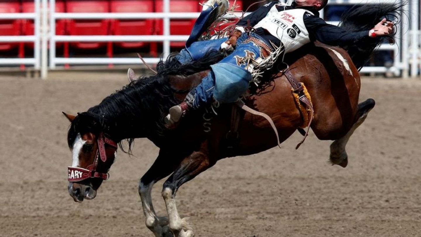 Calgary Stampede back on with oil prices high, COVID rules low | Euronews