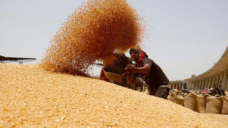 India dice que no tiene previsto importar trigo
