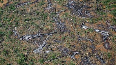 La deforestación en la Amazonia brasileña alcanza un récord en el primer semestre de 2022