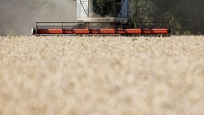 Las exportaciones de cereal de Ucrania caen un 30% en lo que va de temporada -ministerio