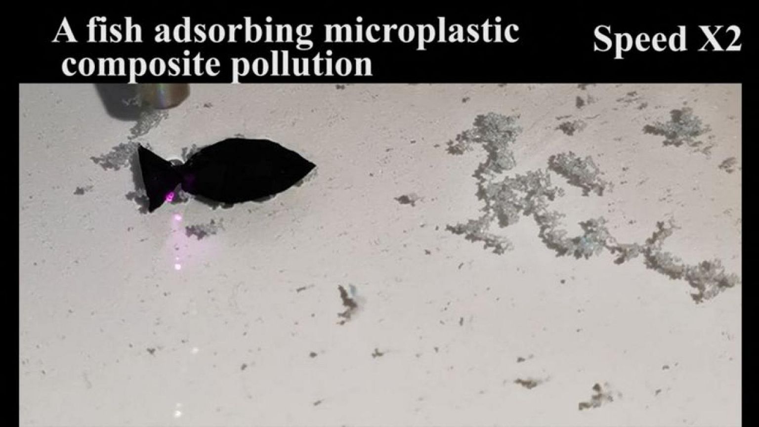 Chinese scientists develop robot fish that gobble up microplastics