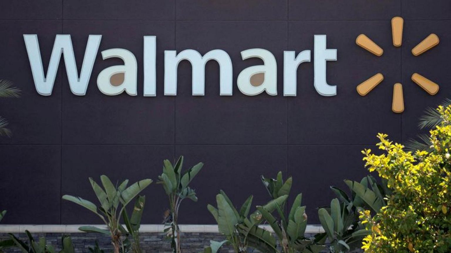 Walmart to expand its delivery fleet with EVs from Canoo