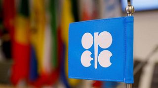 OPEC+ sees slightly smaller oil market surplus this year, sources say
