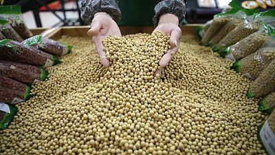 Importaciones de soja de China caen en junio un 23% interanual por débil demanda