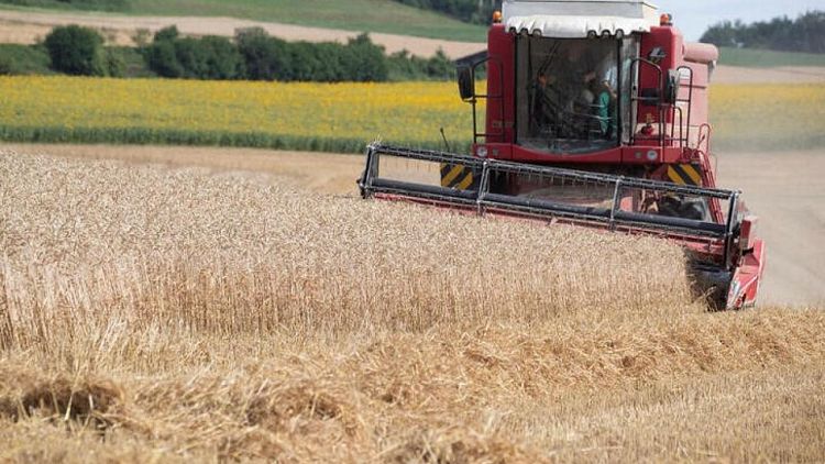 Exportaciones de trigo blando de la UE 2022/23 suben a 363.944 toneladas al 10 de julio