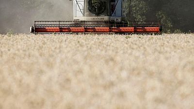 Rusia dice que documento para reanudar exportación de granos de Ucrania está casi listo