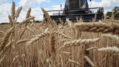 Aseguradoras de buques piden más garantías sobre corredor de granos de Ucrania