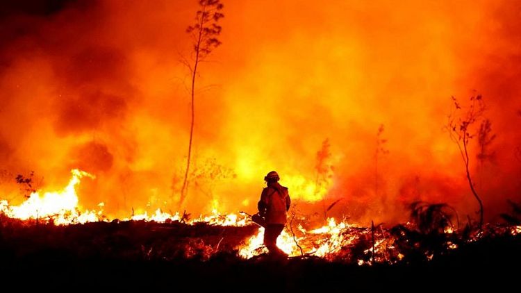 فرنسا تكافح حرائق غابات هائلة وبريطانيا تسجل أعلى درجة حرارة على الإطلاق