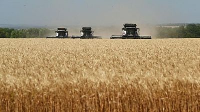 Precios del trigo ruso suben ligeramente, las exportaciones se aceleran