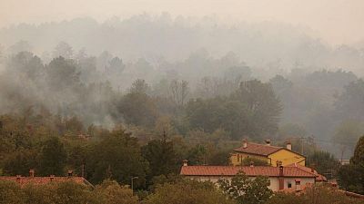 DATOS-El humo de los incendios forestales puede ser perjudicial para la salud