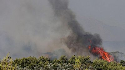 Europe's heatwave reaches Poland, Greece as it moves eastwards, brings wildfires