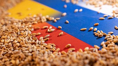 Russia's defence ministry: grain coordination centre launched in Istanbul Russia's defence ministry: grain coordination centre launched in Istanbul