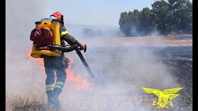 In volo un Canadair, il SuperPuma e tre elicotteri