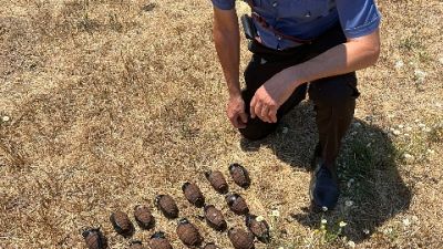 Notate da carabiniere fuori servizio, esercito le ha prelevate Notate da carabiniere fuori servizio, esercito le ha prelevate