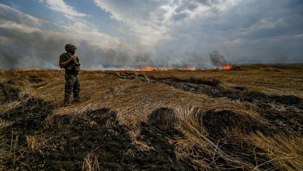 أوكرانيا تطالب سكان منطقة محتلة بالإبلاغ عن أماكن وجود القوات الروسية - Euronews