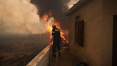 Incendio forestal quema casas de la costa de la isla griega de Lesbos, evacuan centro turístico