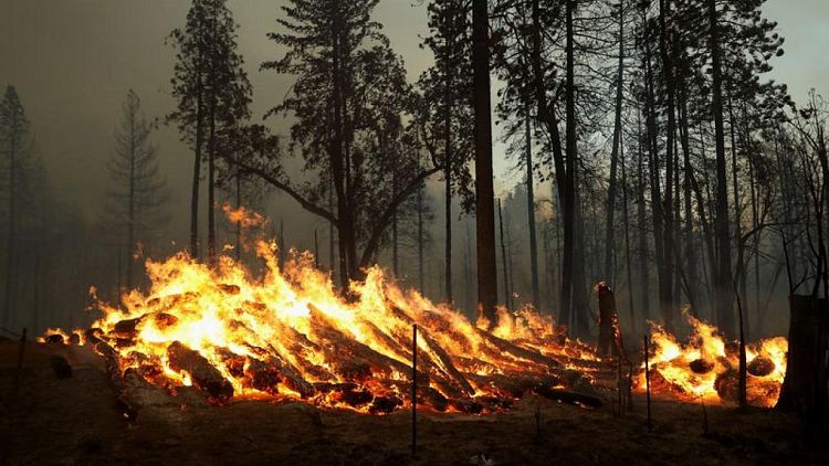 اتساع حريق غابات في كاليفورنيا بالقرب من متنزه يوسيميتي الوطني